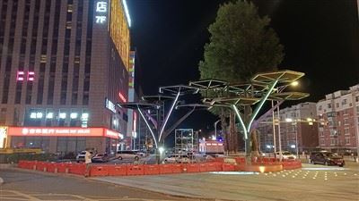 Rzeźba światła drzewa